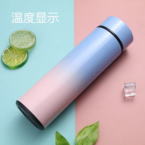 Insulated  Flask